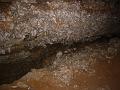 Some more gypsum
